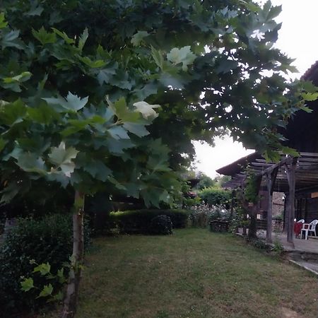 Guest Houses "Zlatna Oresha - Complex" زيرافنا المظهر الخارجي الصورة